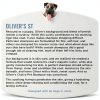 Dog Shampoo Oatmeal Aloe Shea Butter Oliver's Choice-7