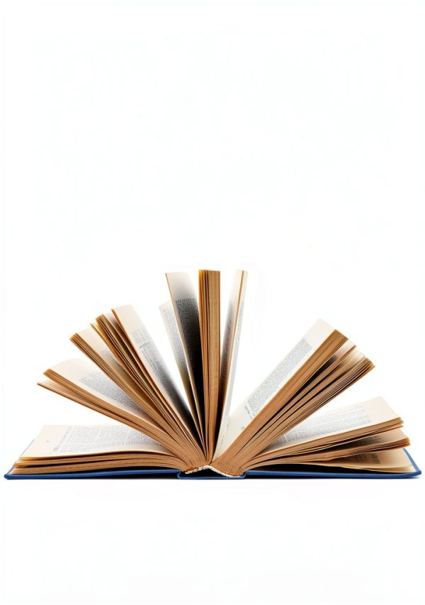 Writing Reference Book Hay House eBook with X‑Ray Features-0